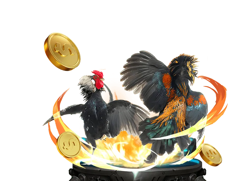 Các cấp độ VIP zet bet