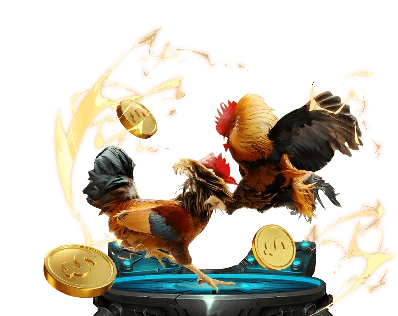 Sòng bạc trực tiếp với người chia bài thật