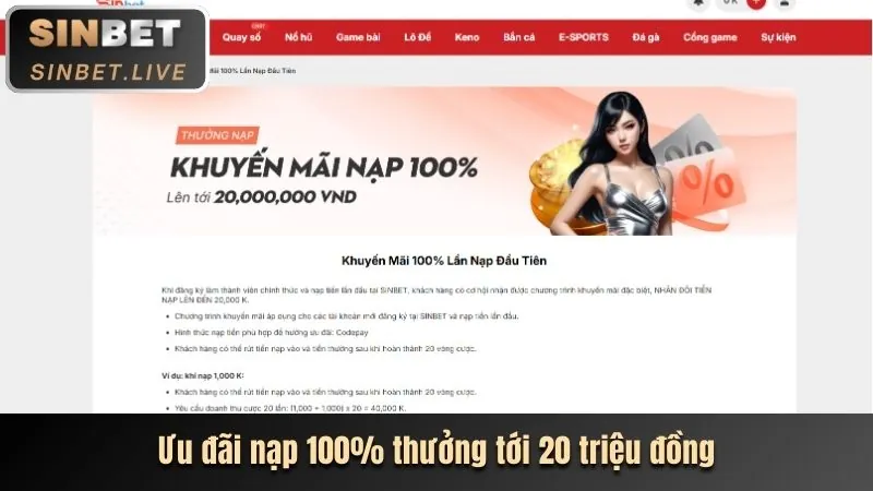 Tổng quan lợi ích VIP zet bet